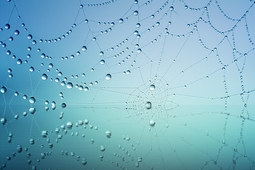 不可以免征個人所得稅的福利費項目有哪些?