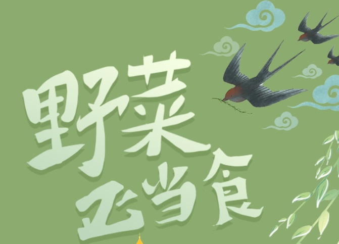 福利plus|野菜正當(dāng)“食”，當(dāng)心別采錯了！