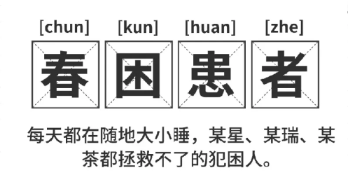 福利plus|打工人續命指南：提神零食清單+5分鐘暴汗操，一鍵領??！